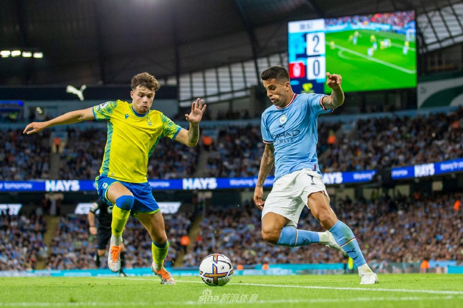 让它在搜索 让它在搜索